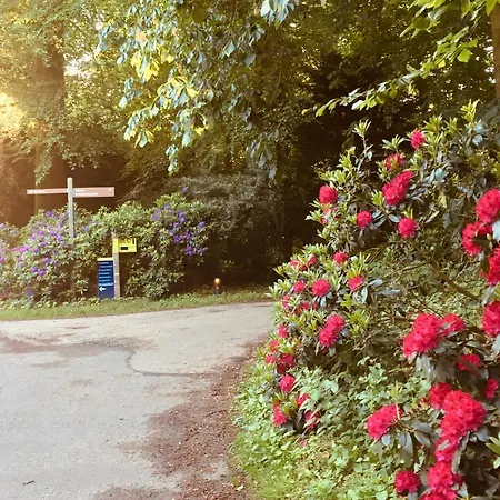 Art+bed And Breakfast 4*