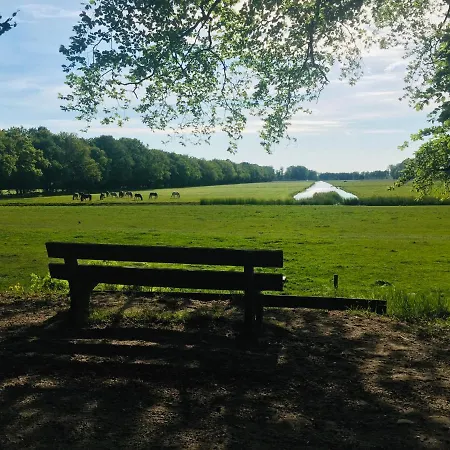 ベッド・アンド・ブレックファスト Art+bed And Breakfast