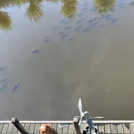 Art+bed And Breakfast