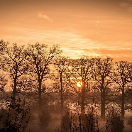 Art+bed And Breakfast