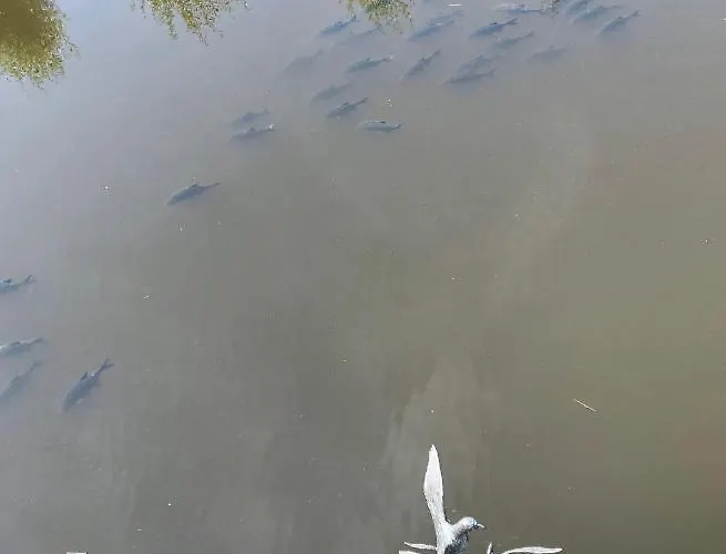 Art+bed And Breakfast