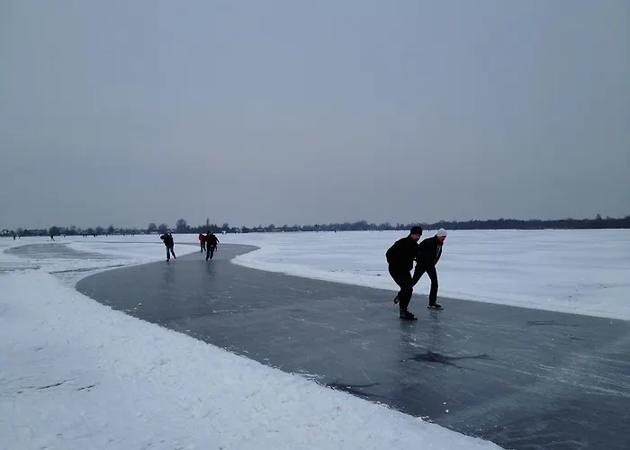 Art+bed And Breakfast 4* 's-Graveland