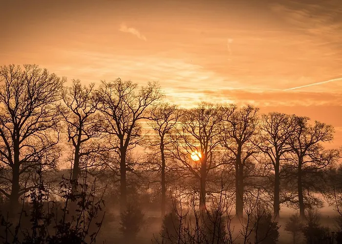 Art+bed And Breakfast