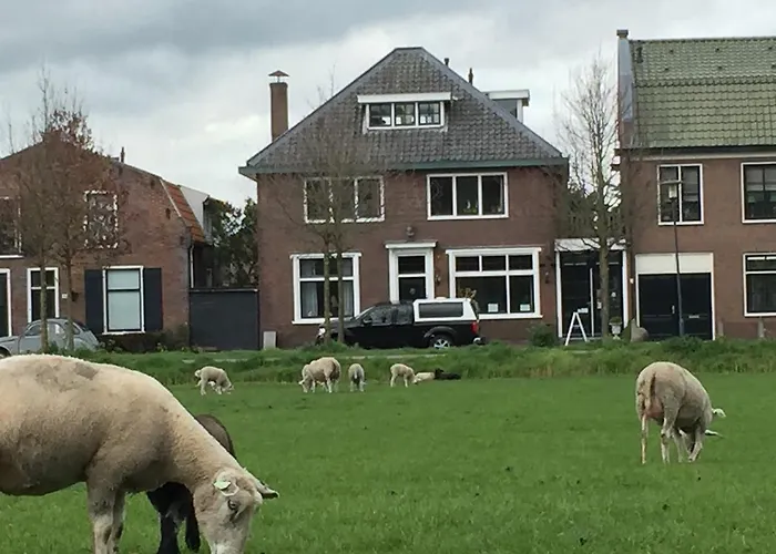 Art+bed And Breakfast Frühstückspension 's-Graveland