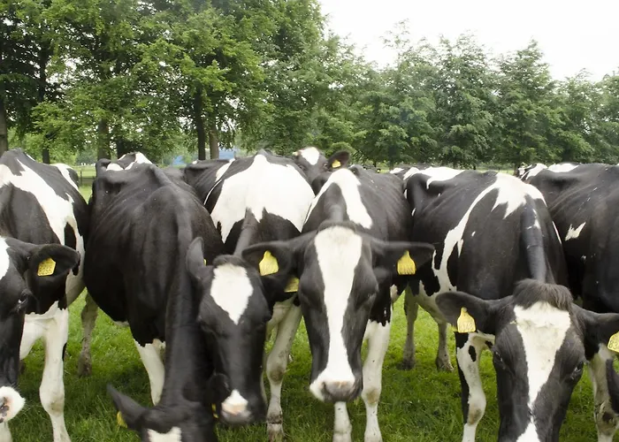 Art+bed And Breakfast 4*