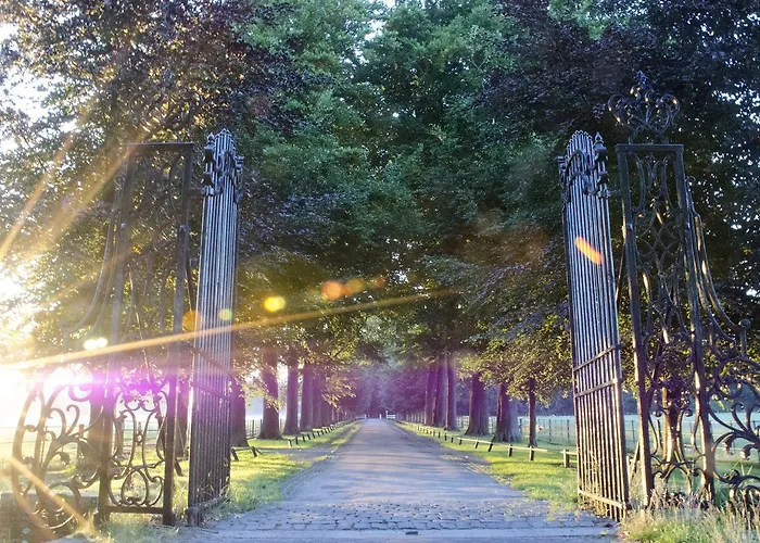 Art+bed And Breakfast 4* 's-Graveland